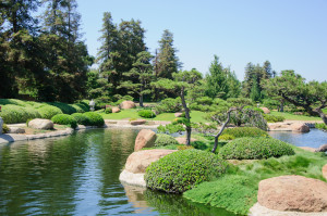 Beautiful view of Japanese Garden in Los Angeles park, California